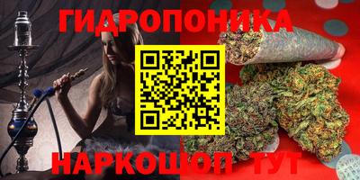 спиды Кандалакша