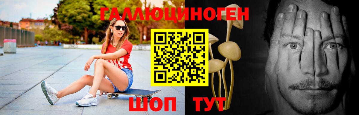 Псилоцибиновые грибы Psilocybine cubensis  Вход с VPN  Галлюциногенные грибы мухоморы  Королёв 
